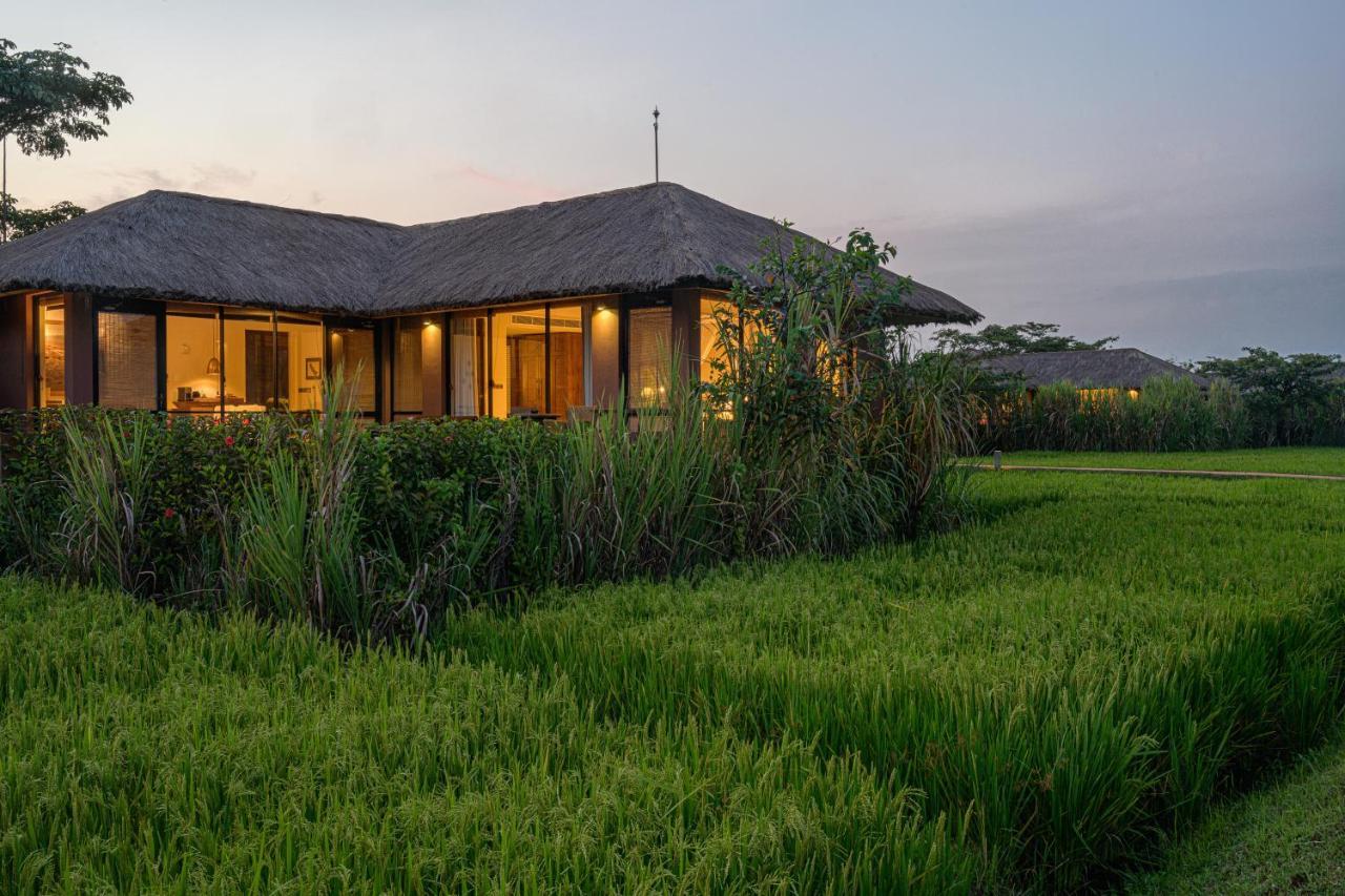Water Garden Sigiriya - 30 Chic Designed Private Villas Overlooking Sigiriya Exterior photo