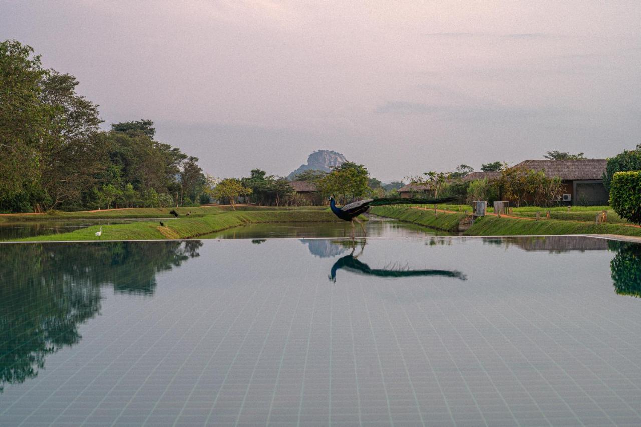 Water Garden Sigiriya - 30 Chic Designed Private Villas Overlooking Sigiriya Exterior photo